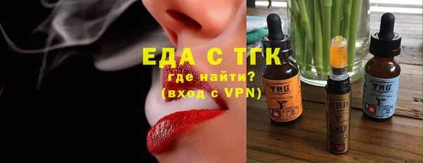 тгк Абаза