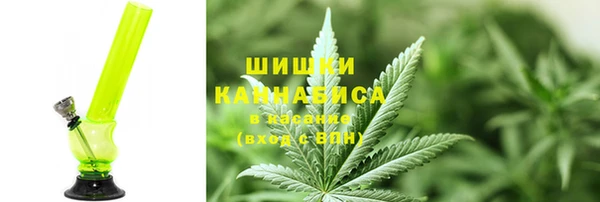 тгк Абаза