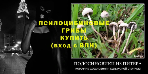 тгк Абаза