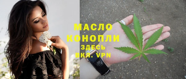 тгк Абаза