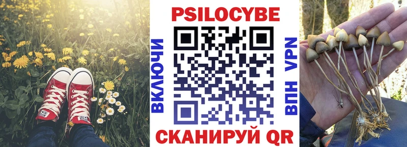 дарнет шоп  Усть-Кут  Псилоцибиновые грибы Magic Shrooms 